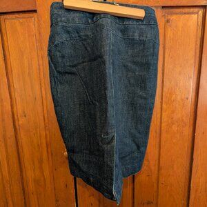 J. Crew stretch, blue denim